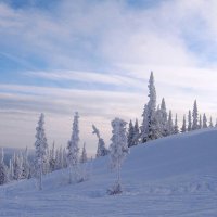 Природа Шерегеша :: Галина Нестратова