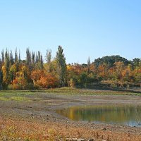 Осень золотая :: Валентин Семчишин Осень золотая :: Валентин Семчишин