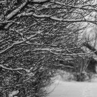 Зимнее :: Владимир Иванович