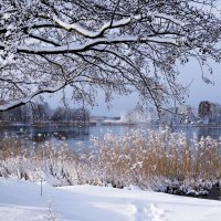 В окрестностях Калининграда :: Рита Симонова