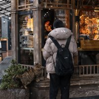 Маленький попрошайка :: Лилия .