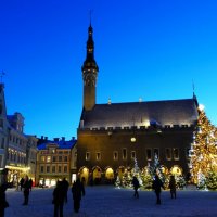 Новогодние прогулки :: Aida10 