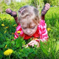 Как устроен одуванчик ? :: Игорь Как устроен одуванчик ? :: Игорь