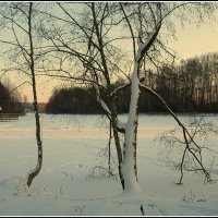 *** :: Aleksandr Gal