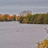 Озеро Липпа :: Jakob Dick