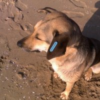 Долгий взгляд на море :: Натали 