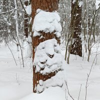 парочка :: Владимир 