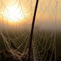 Перед рыбалкой :: Prizrak 777