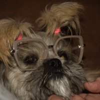 Училка. :: Юрий Полторыхин. Училка. :: Юрий Полторыхин.