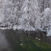 ... :: Жора Житников