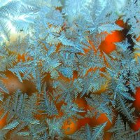 Всех поздравляю с Новым Годом! :: veilins veilins