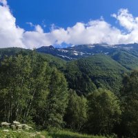 Домбай, лето :: Екатерина Леш