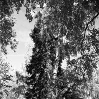 Фотография :: Денис Безногов Фотография :: Денис Безногов