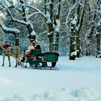 Лошадка ждет! :: Vladimir Semenchukov