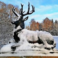 Олени вернулись на Олений мост. :: Vladimir Semenchukov