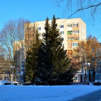 Чебоксары. Ели в сквере Защитников правопорядка зимой. :: Пётр Чернега