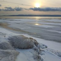 Морозный день... :: Ирина *