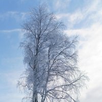 Зимний пейзаж :: Алексей Исаков