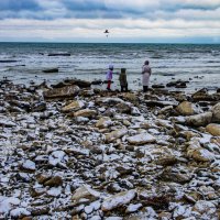 Берег :: Анатолий Чикчирный