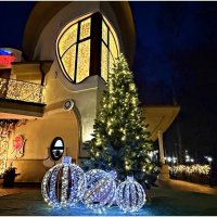 Новогодний Светлогорск. :: Валерия Комова