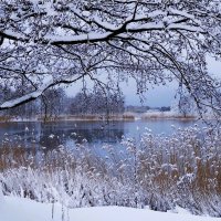 В окрестностях Калининграда :: Рита Симонова