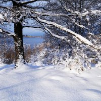 В окрестностях Калининграда :: Рита Симонова