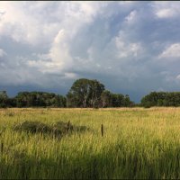 *** :: Александр. AVG100 ---