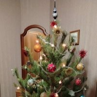 Домашняя  елочка :: Надежда 