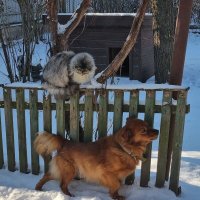 Вот это настоящее удовольствие! :) :: Наталья 