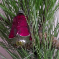 Старый Новый год :: Всеволод 