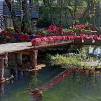 Летним Утром .. :: Татьян@ Ивановна