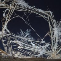 В домике... :: Андрей Пристяжнюк