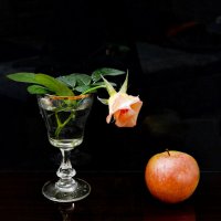 *** :: Надежда Куркина 