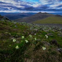 Скоро ночь. :: Юрий кот