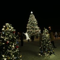 Кронштадт 2026 г, световое шоу. :: Танзиля Завьялова