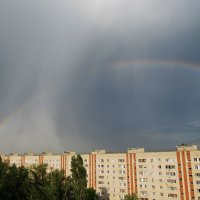 после дождя :: Елена Шаламова