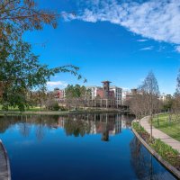 Солнечно :: **** vedin