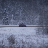 без названия :: fogmeadowww m