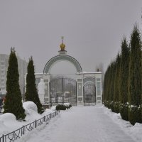 Храмовый комплекс Ксении Петербургской :: Татьяна Машошина
