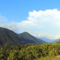 ДАГОМЫС :: Tata Wolf