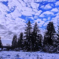 Январский денёк :: Людмила Смородинская