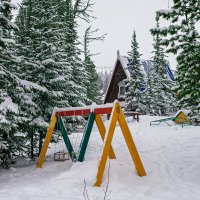 **** :: Алексей Мезенцев