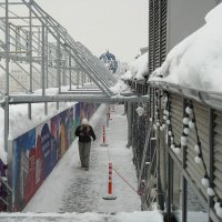 НОВЫЙ_26_ГОД (20) :: Сергей Янович Микк