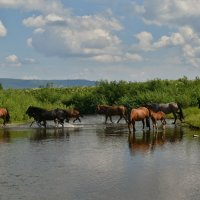 Форсирование реки :: Сергей Шаврин