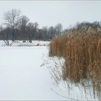 Январь на реке :: Сеня Белгородский