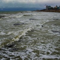 Берег Каспия :: Анатолий Чикчирный