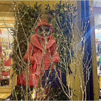 Витрины Зеленоградска. :: Валерия Комова