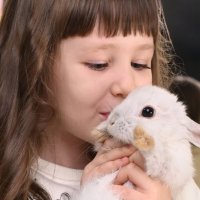 *** :: Николай Чекалин