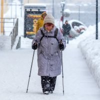 Опять снегопад. :: Анатолий. Chesnavik.