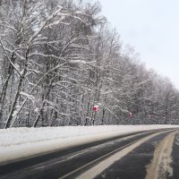 Зимняя дорога :: Андрей Андросов Зимняя дорога :: Андрей Андросов